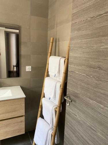 uma casa de banho com um toalheiro ao lado de uma porta em Résidence Pasturella em Bastia