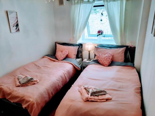 two twin beds in a room with a window at No 10 Brixham ( With Free Parking ) in Brixham