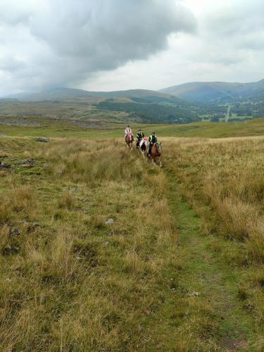 a group of people riding horses in a field at Pentre Riding Stables in Abercraf