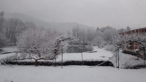 a yard covered in snow with a house and trees at La maison et l'étang - grand terrain privé in Vagney