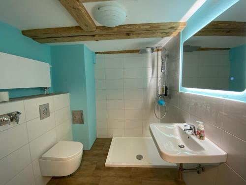 a bathroom with a sink and a toilet and a mirror at Happy Teapot Apartment in Malsfeld