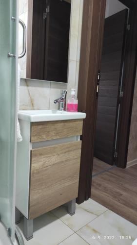 a bathroom with a sink and a mirror at Centar_park in Arandjelovac