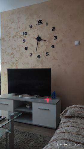 TV a/nebo společenská místnost v ubytování Centar_park