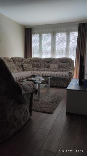 a living room with a couch and a table at Centar_park in Arandjelovac