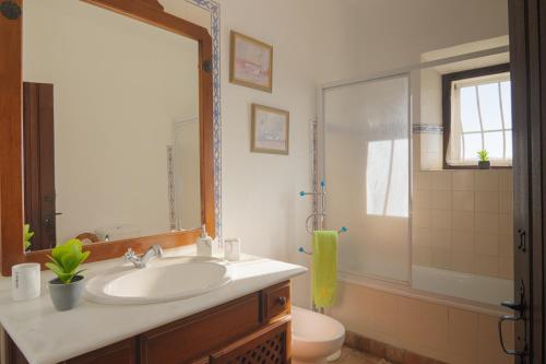 uma casa de banho com um lavatório, um WC e um espelho. em Monte Ribeira de Mures em Évora