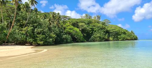 a beach with a bunch of trees and the water at HUAHINE Manta Lodge avec 4x4 optionnel in Haapu