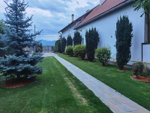 a house with a green yard with a christmas tree at JANINE GARDEN in Braşov