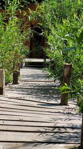 a wooden walkway with trees and a building at La Grenouillette in Mirwart