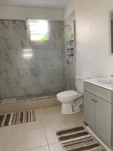 a bathroom with a toilet and a shower and a sink at Kay Nou Apartments in Gros Islet