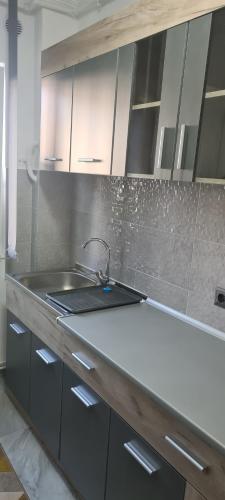 uma cozinha com um lavatório e uma bancada em Sofia Apartments em Gherla