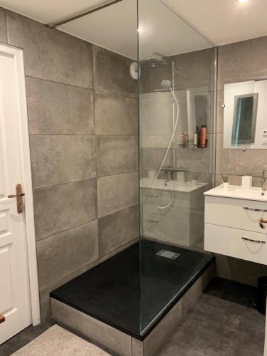 een badkamer met een douche en een wastafel bij La coccinelle in Noyarey