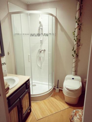 une salle de bain avec une douche, des toilettes et un lavabo dans l'établissement Le petit pré écolo, à Longué