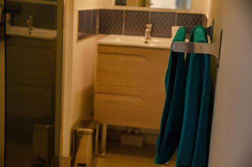 ein Badezimmer mit grünen Handtüchern auf einem Kleiderständer neben einem Waschbecken in der Unterkunft T2 Fleur de Lotus in Saint-Denis