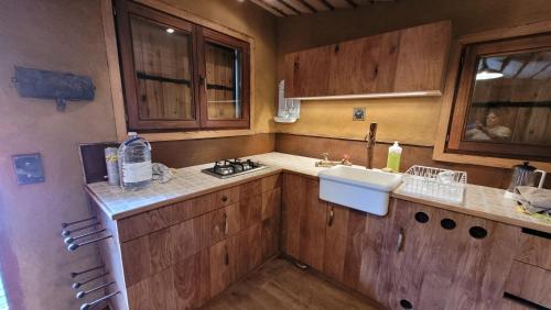 a kitchen with wooden cabinets and a sink at La Grenouillette in Mirwart