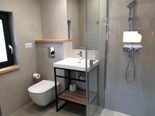 a bathroom with a toilet and a sink and a shower at Stark House Gallery in Borsk