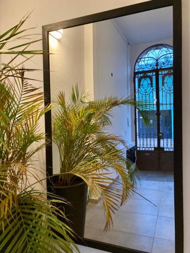 a mirror with plants in front of a door at Departamentos Galarza Alojamiento en Concepción del Uruguay in Concepción del Uruguay