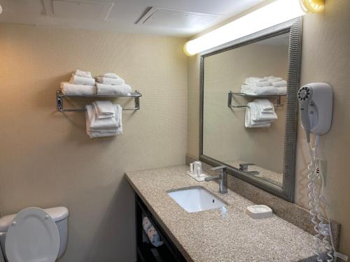 a bathroom with a sink and a mirror and a toilet at Wyndham Garden Dover in Dover