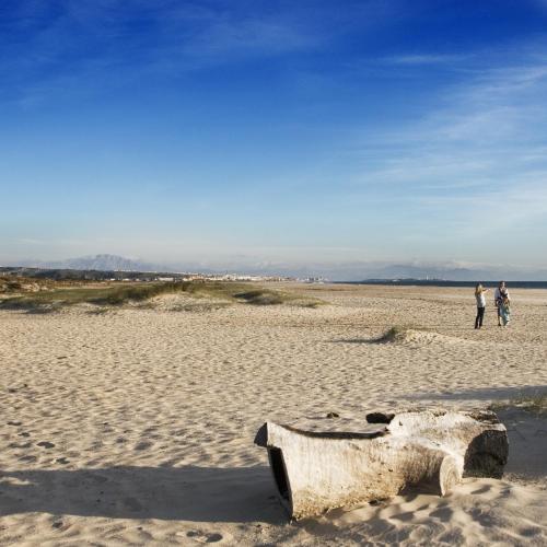 two people standing on a beach with a piece of driftwood at Beach Hotel Dos Mares in Tarifa