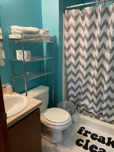 a bathroom with a toilet and a shower curtain at Lake Point Motel in Marblehead