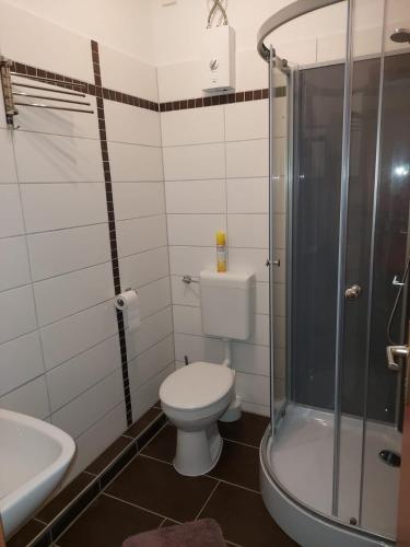 y baño con aseo, ducha y lavamanos. en City Pension Senftenberg / Apartment Nr.2 en Senftenberg