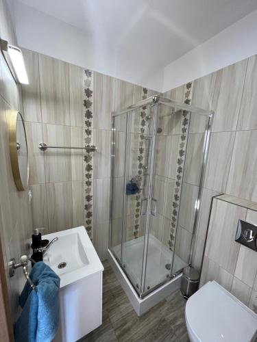 uma casa de banho com um chuveiro, um WC e um lavatório. em Agroturystyka Liana em Polanica-Zdrój