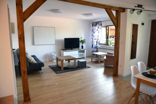 salon z kanapą i telewizorem w obiekcie Apartament Tamaryszek w mieście Sandomierz
