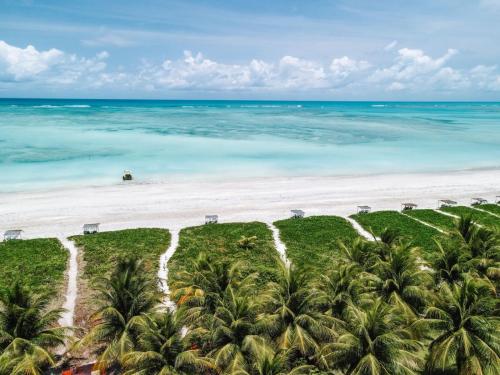 uma vista aérea de uma praia com palmeiras e do oceano em Villas Taturé em São Miguel dos Milagres