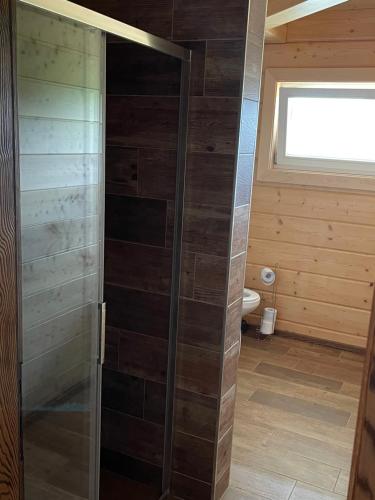 een douche met een glazen deur in de badkamer bij Drevenice Horné Kysuce in Vysoká nad Kysucou