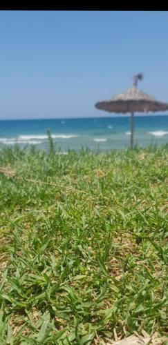 a beach with an umbrella and some grass and the ocean at Royal Sun in Iskele