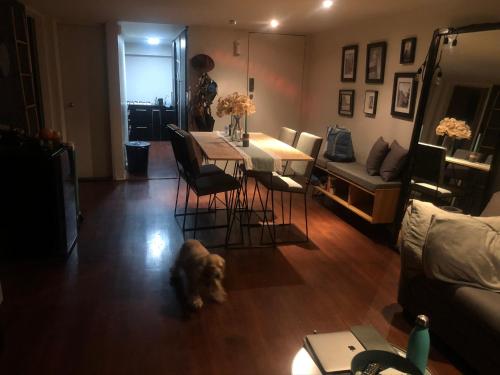 a dog standing in a living room with a table and chairs at CHIC Full Condo @ - Heart of Roma, downtown CDMX in Mexico City