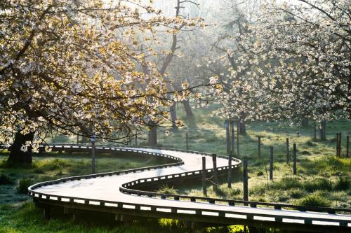 a winding road in a park with flowering trees at Maison Mathieu in Bilzen