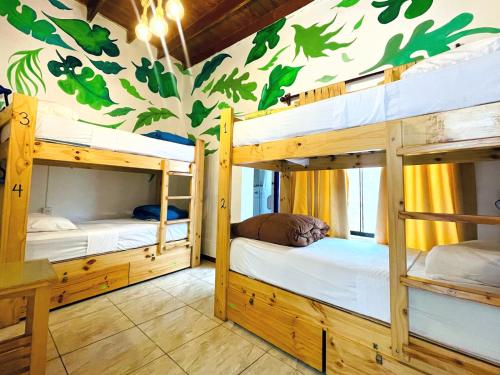 2 łóżka piętrowe w pokoju ze ścianą pokrytą liśćmi w obiekcie Waikiki Hostel w mieście Lima