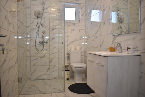 y baño con ducha, aseo y lavamanos. en Casa Dumitru 2 en Valea Borului