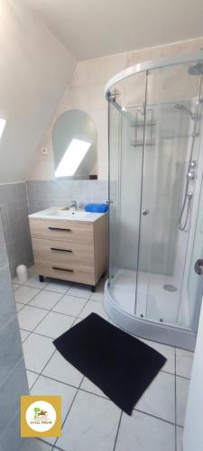 une salle de bain avec douche et lavabo dans l'établissement Gîte du Domaine du Ch'Val Perché, à Montgaudry