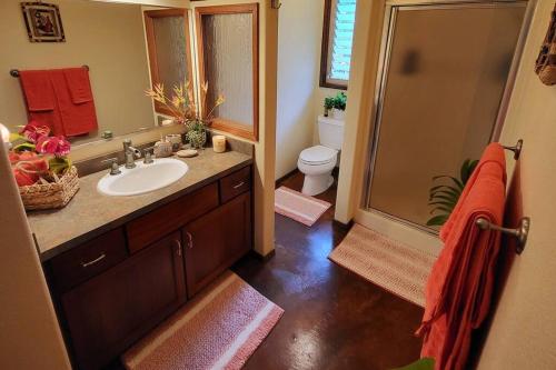 a bathroom with a sink and a shower with a toilet at Unique Lava House by steaming crater in Pahoa
