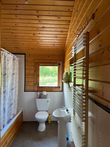 een badkamer met een toilet en een wastafel bij Red Squirrel Lodge in Galway
