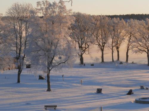 a snow covered field with trees and a bench at Hotel Hehrne Kök & Konferens in Vänersborg