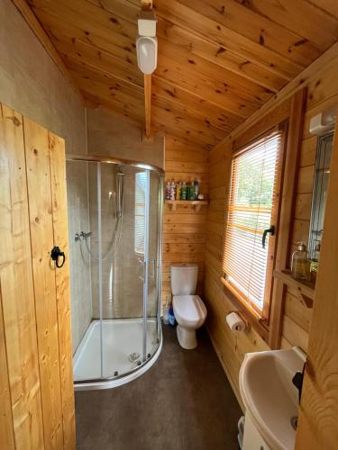a bathroom with a shower and a toilet at Red Robins Nest in Galway