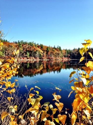 a view of a river with autumn leaves on the shore at The Villages at Ocean Edge Resort & Golf Club in Brewster