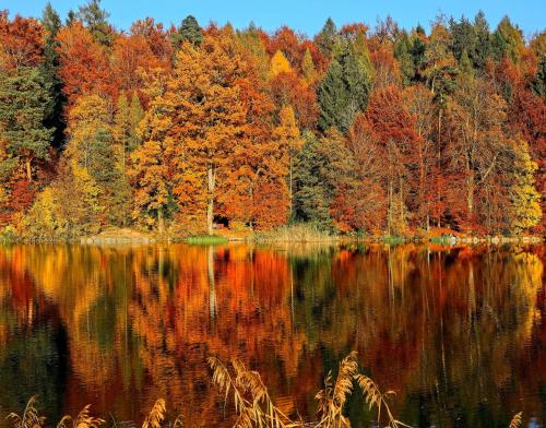 a lake in the middle of a forest with colorful trees at The Villages at Ocean Edge Resort & Golf Club in Brewster