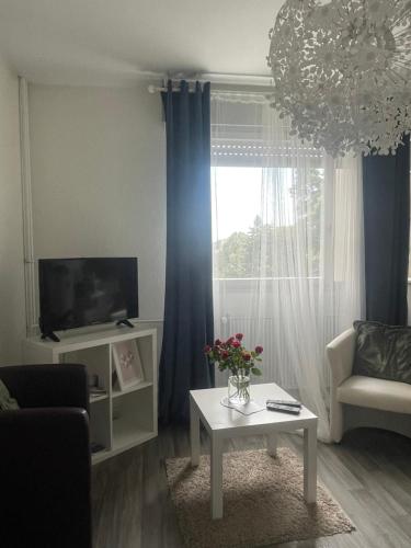 Il comprend un salon doté d'une télévision, d'une table et d'une fenêtre. dans l'établissement Studio 5 Near Basel Airport, à Saint-Louis