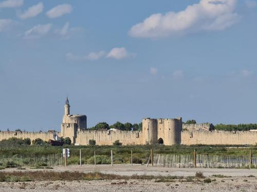 an old castle in the middle of a field at La Maison de Lyna - Suites de charme intra-muros avec parking & autonomie in Aigues-Mortes