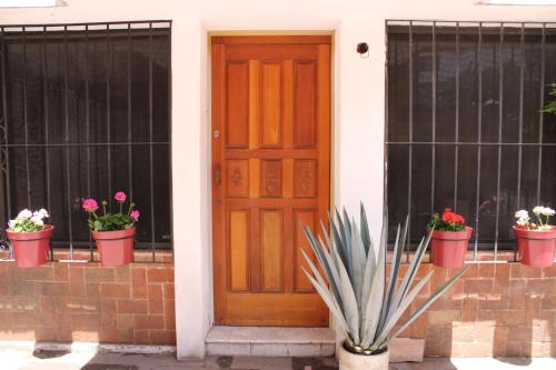 a front door of a house with potted plants at Casa Luna Coyoacan in Mexico City