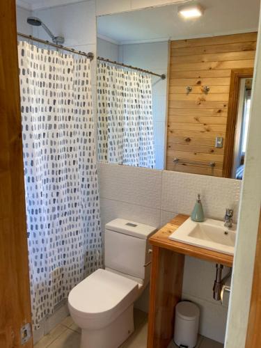 a bathroom with a toilet and a sink at Hostal Vuelta al Sur in Puelo