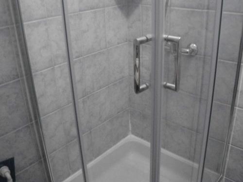 a shower with a glass door in a bathroom at Apartments with a parking space Pinezici, Krk - 15269 in Vrh