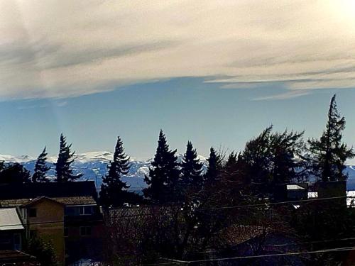 a view of a mountain with trees and snow at Ruca Malal in San Carlos de Bariloche