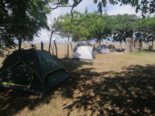 Un paisaje natural cerca del camping