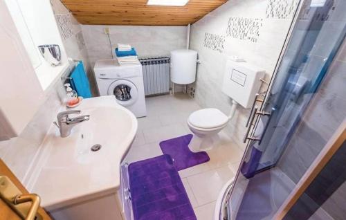 a bathroom with a toilet and a sink and a shower at Apartments with a parking space Kastav, Opatija - 15287 in Kastav