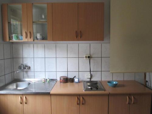 Apartments with WiFi Zagreb - 15290