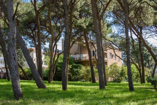 Apartments and rooms by the sea Split - 15298